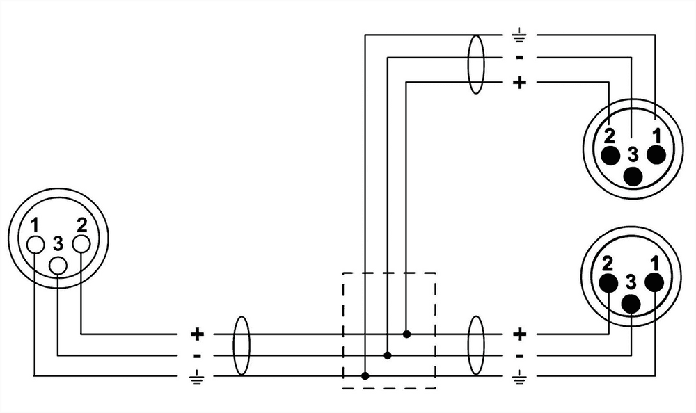 Cable Y XLR hembra/2 XLR macho 30 cm - Imagen 2