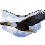 CABINET T-RENT 1.9 VR MINILED 4en1 3840Hz 1/32