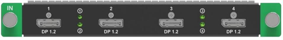 TARJETA ENTRADA SERIE MX 4XDP1.2 - Imagen 1