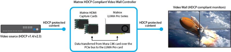 MATROX L-SERIES TARJETA GRAFICA PROFESIONAL PCIE 4.0 X16 8X MINI DISPLAYPORT - Imagen 4