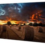 SAMSUNG 55" VM55B-U 3,5mm 24/7 500Cd/m² sin SoC